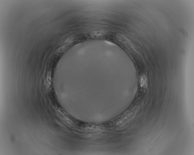 X0000110991011200907101426