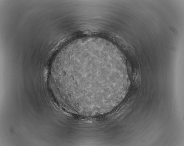 X0000110991012200907101426