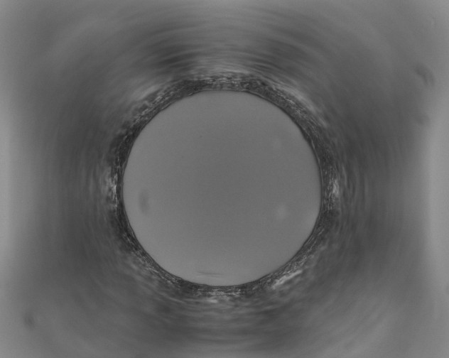 X0000110991013200907101426