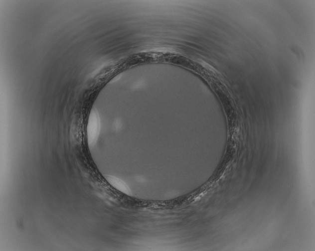 X0000110991014200907101426