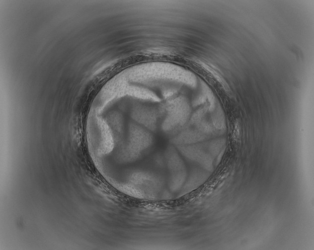 X0000110991015200907101426