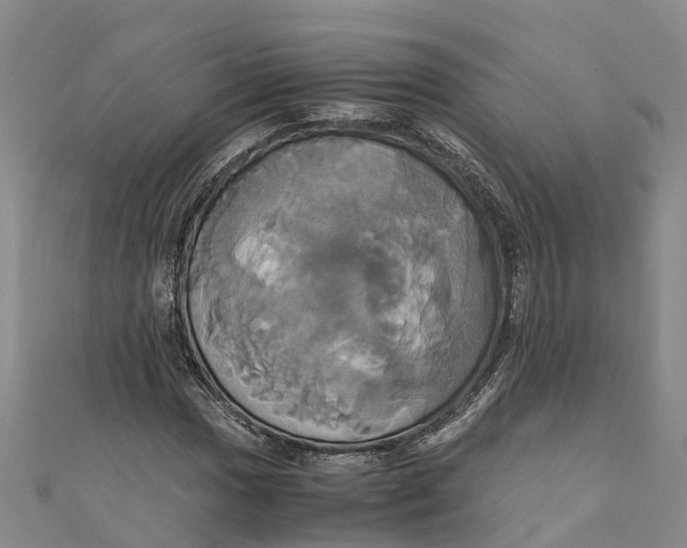 X0000110991017200907101426