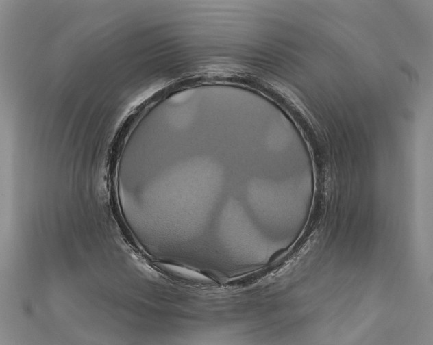 X0000110991018200907101426