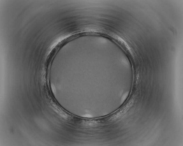 X0000110991019200907101426
