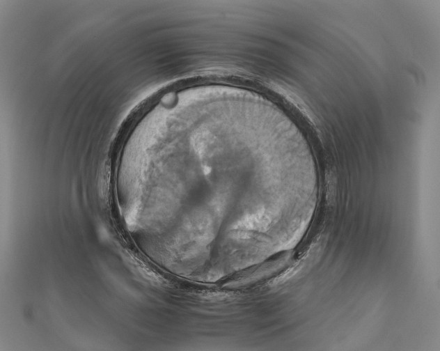 X0000110991021200907101426