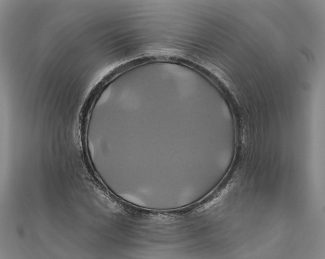 X0000110991022200907101426