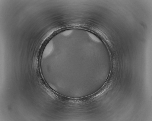 X0000110991023200907101426