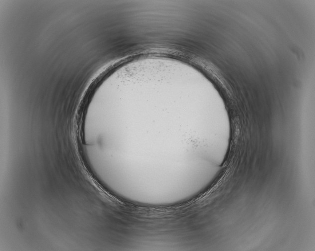 X0000110991024200907101426