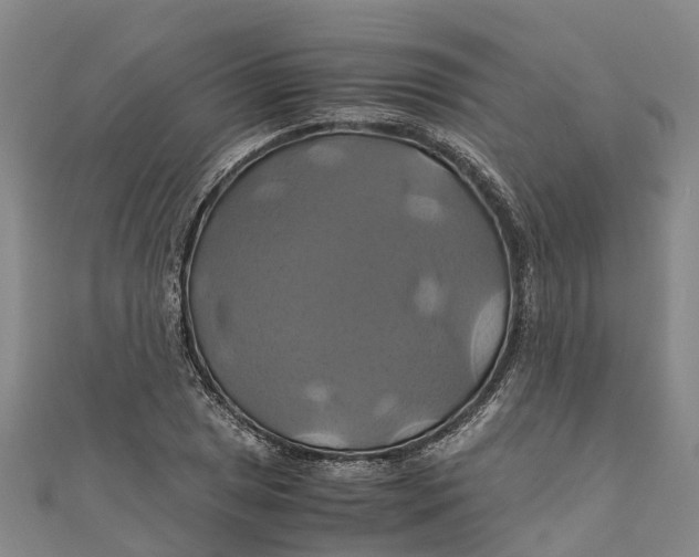 X0000110991025200907101426