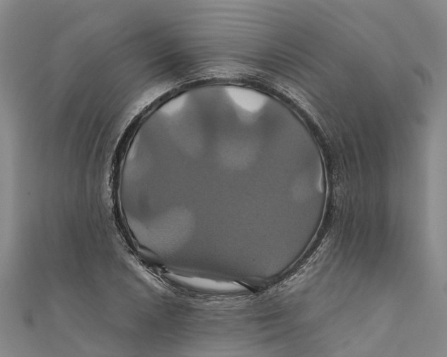 X0000110991026200907101426