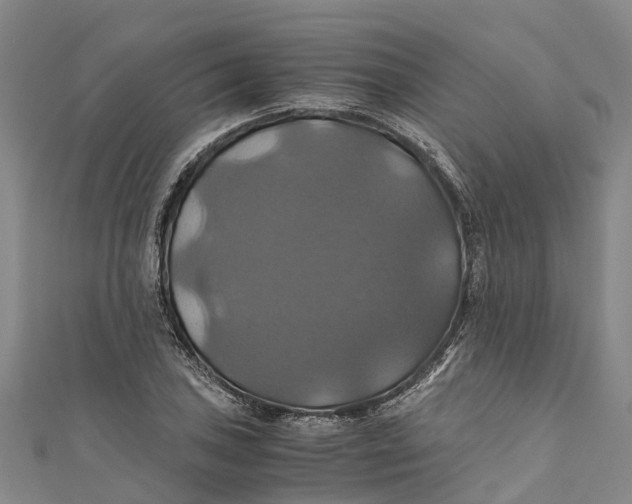 X0000110991027200907101426