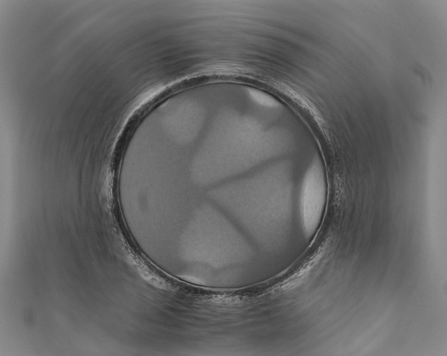 X0000110991029200907101426