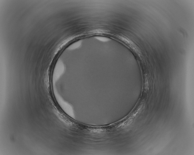 X0000110991031200907101426
