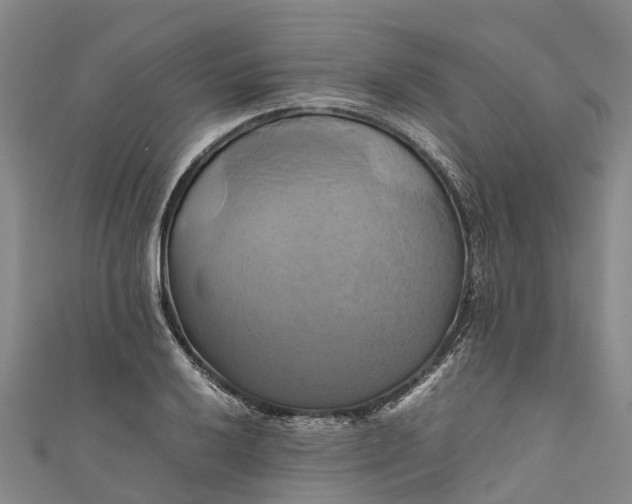 X0000110991032200907101426