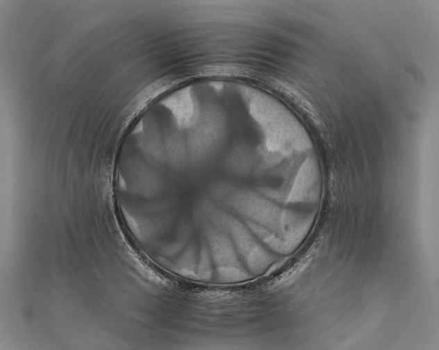 X0000110991033200907101426