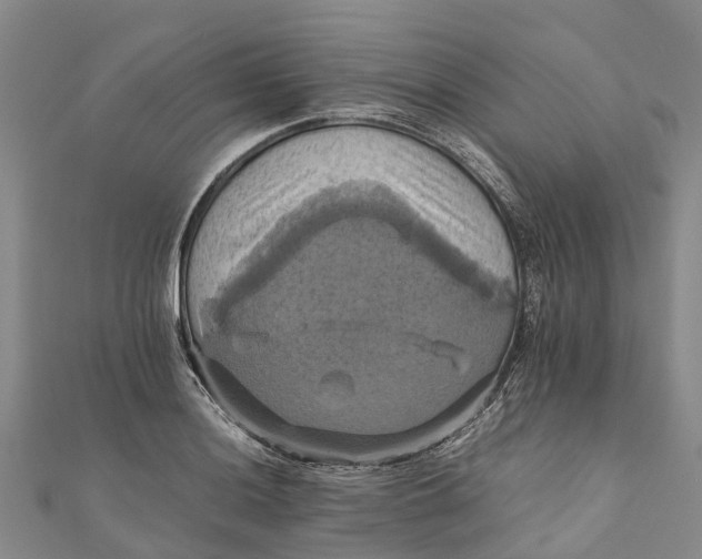 X0000110991036200907101426