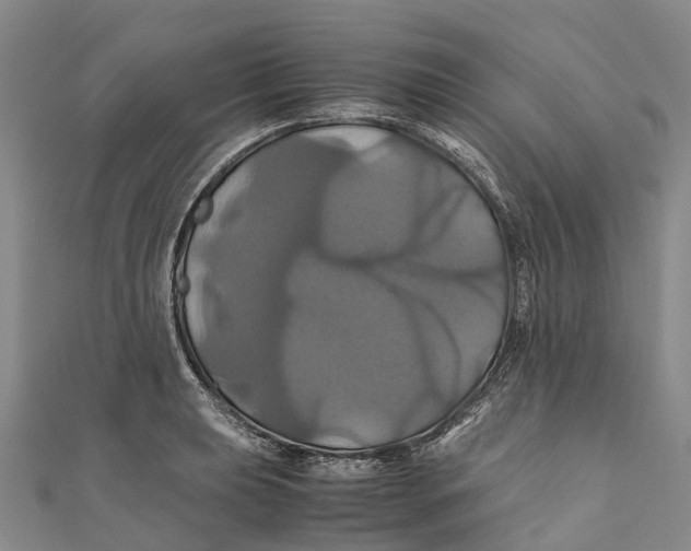 X0000110991039200907101427
