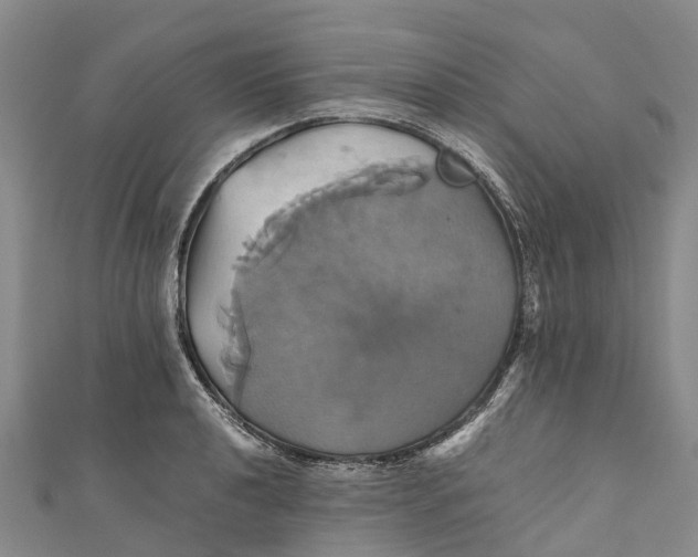 X0000110991040200907101427