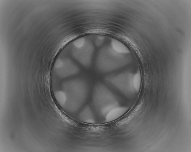 X0000110991041200907101427