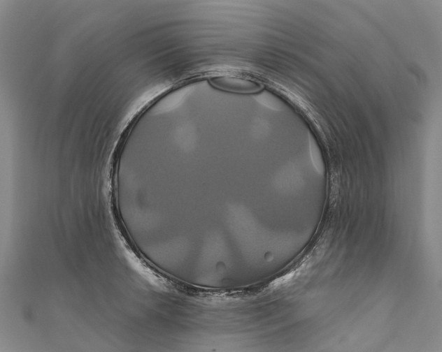 X0000110991042200907101427