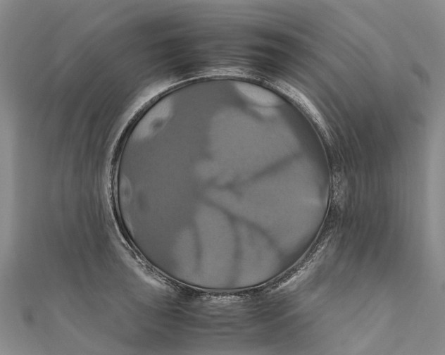 X0000110991043200907101427