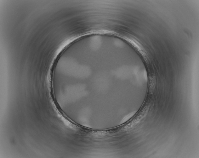 X0000110991046200907101427