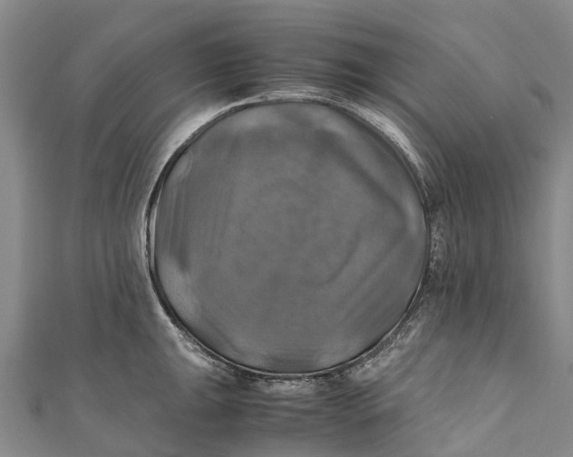 X0000110991047200907101427