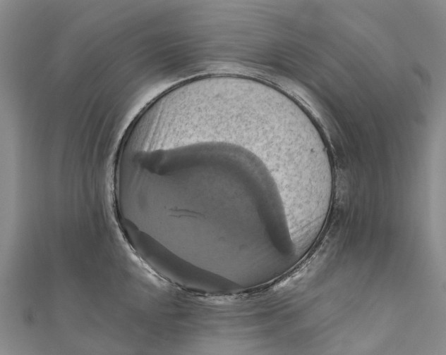 X0000110991048200907101427