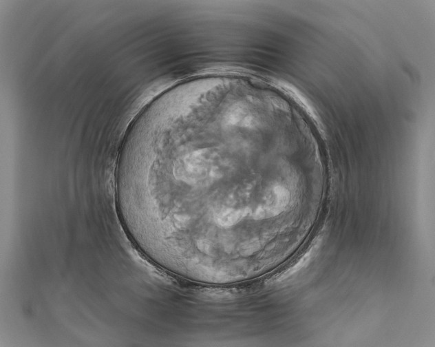 X0000110991049200907101427