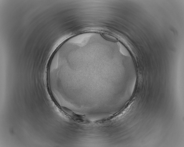 X0000110991050200907101427