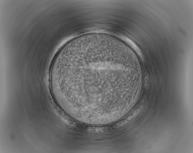 X0000110991051200907101427