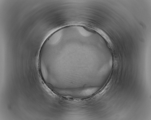 X0000110991052200907101427