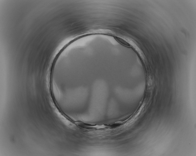 X0000110991054200907101427