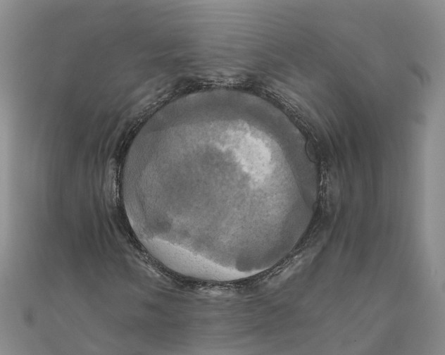 X0000110991058200907101426