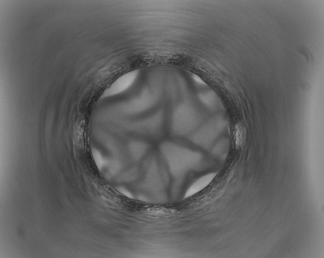 X0000110991059200907101426