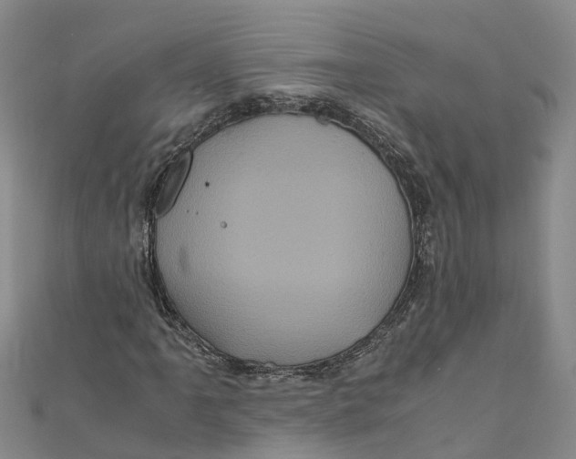 X0000110991061200907101426