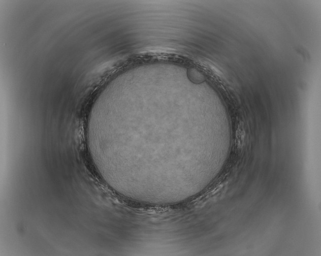 X0000110991062200907101426