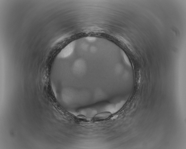 X0000110991063200907101426