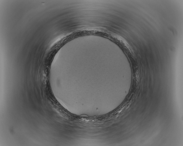 X0000110991064200907101426