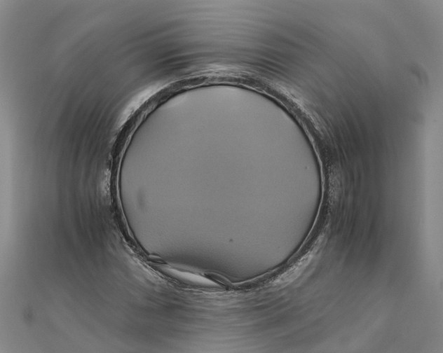 X0000110991066200907101426