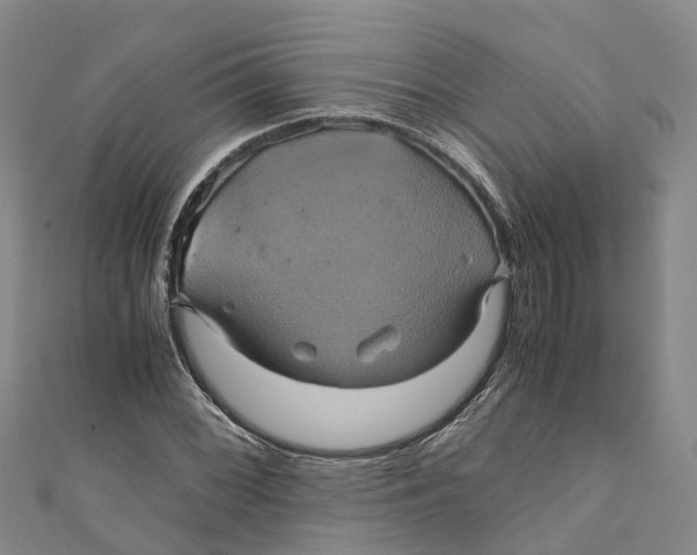 X0000110991068200907101426