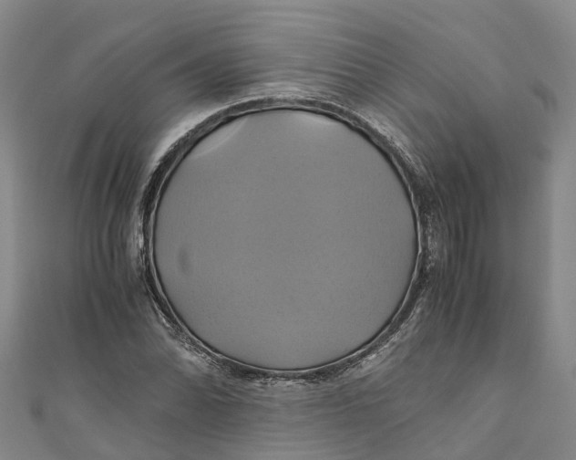 X0000110991070200907101426