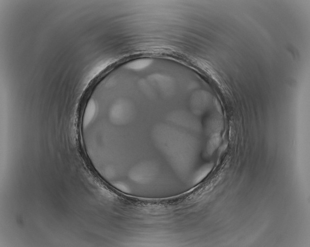 X0000110991071200907101426