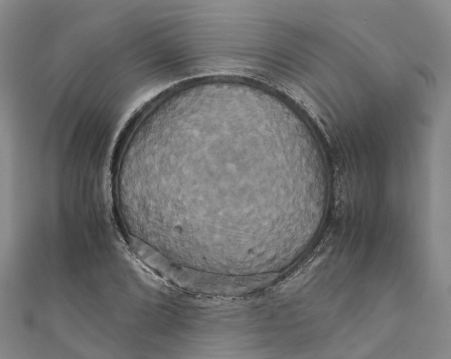 X0000110991072200907101426