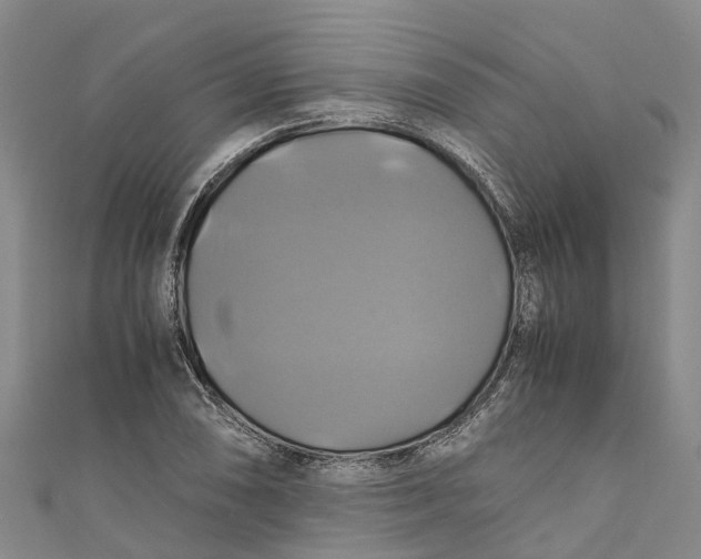 X0000110991074200907101426
