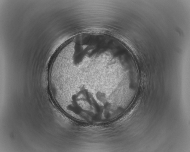 X0000110991075200907101426
