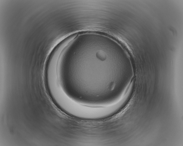 X0000110991077200907101426