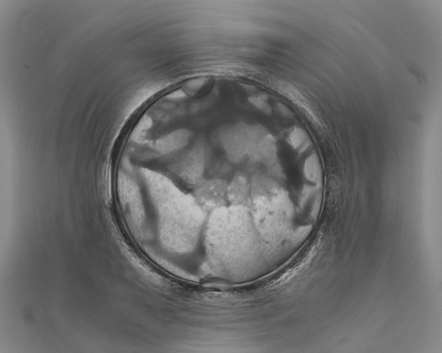 X0000110991079200907101426