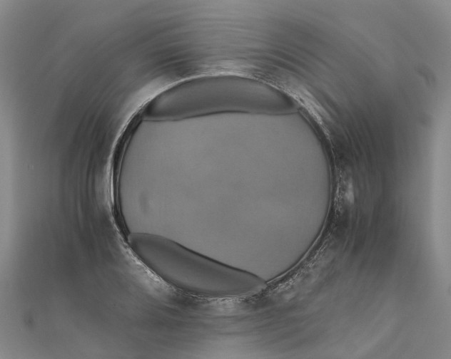 X0000110991080200907101426