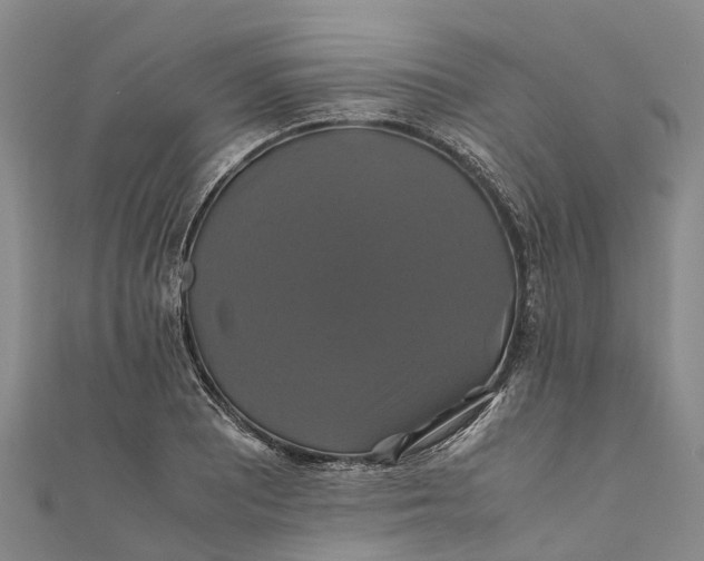 X0000110991081200907101426